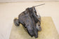 2015-2023 Dodge Charger GT 3.6L AWD Transfer Case Bw 44-40 85K 68214750AC OEM - Alshned Auto Parts