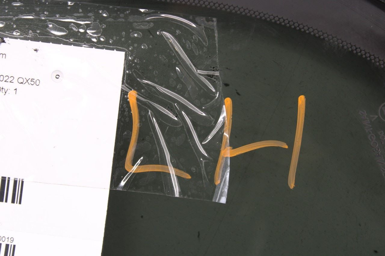 19-25 Infiniti QX50 LUXE Rear Left Driver Side Quarter Window Glass 83301-5NA0C - Alshned Auto Parts