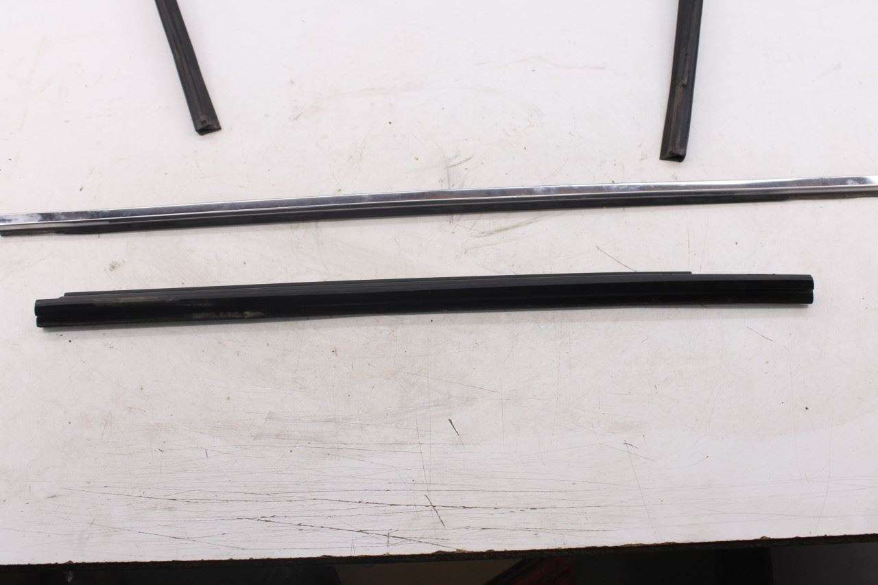2010-20 Dodge Grand Caravan SXT Rear Right Door Window Run Channel Trim Belt Set4