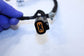 2019-21 Hyundai Tucson Value Rear Left Driver Door Wire Harness 91650-D3210 OEM - Alshned Auto Parts