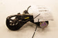 2015-2017 Jeep Wrangler Sport 2dr Front Left Driver Door Wire Harness 68244617AA - Alshned Auto Parts