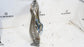 2015-20 Ford F150 Crew Cab Front Passenger Right Side Seat Backrest Upper Frame4