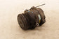 1997-2004 Chevrolet Corvette 5.7L AC Air Conditioner Compressor 89018958 OEM - Alshned Auto Parts