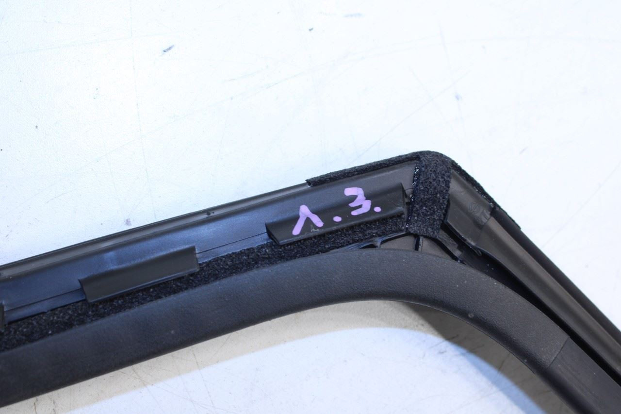 22-25 Hyundai Tucson Rear Left Door Run Channel w Belt Weatherstrips 83530-CW000 - Alshned Auto Parts