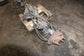 2013-18 Ram 1500 Laramie 5.7L 4WD Rear Axle Differential Carrier 3.21 ratio 183K - Alshned Auto Parts