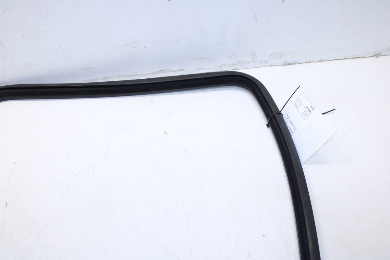 99-16 Ford F250 Lariat Crew Cab Rear Right Door Run Channel w/ Weatherstrip Set - Alshned Auto Parts
