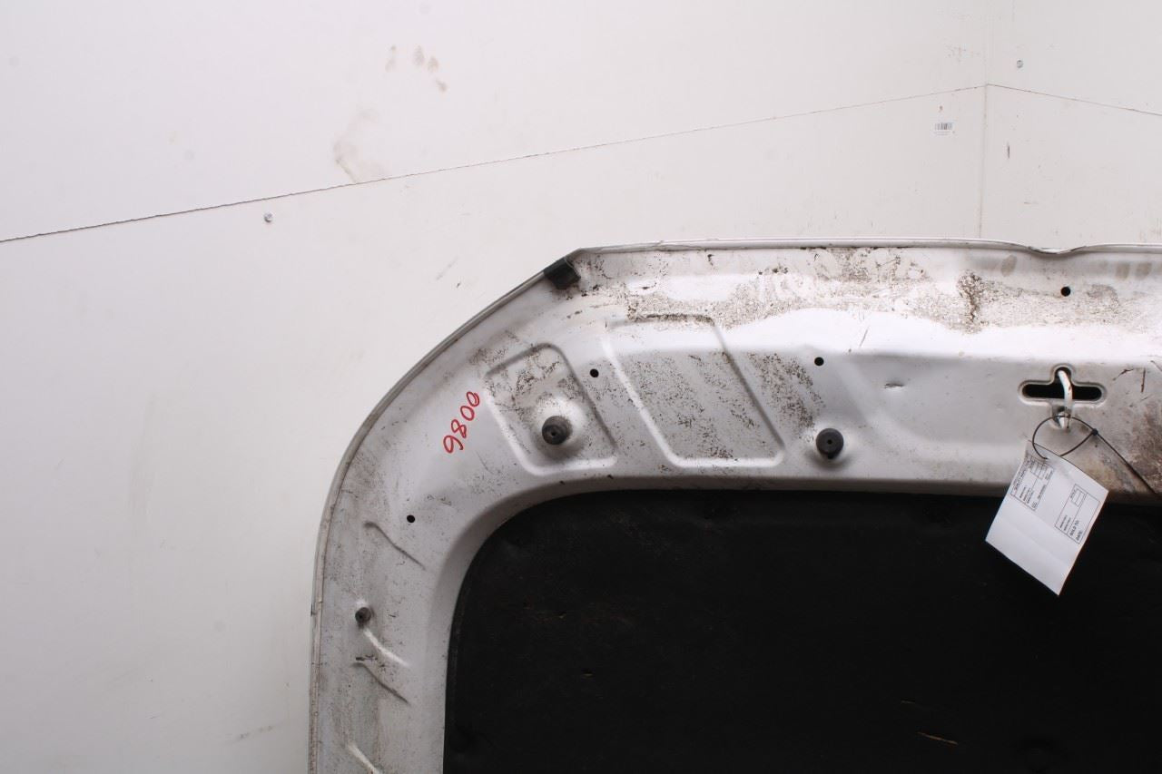 2020-2026 Hyundai Palisade Limited AWD Front Hood Bonnet Shell Panel *ReaD* - Alshned Auto Parts