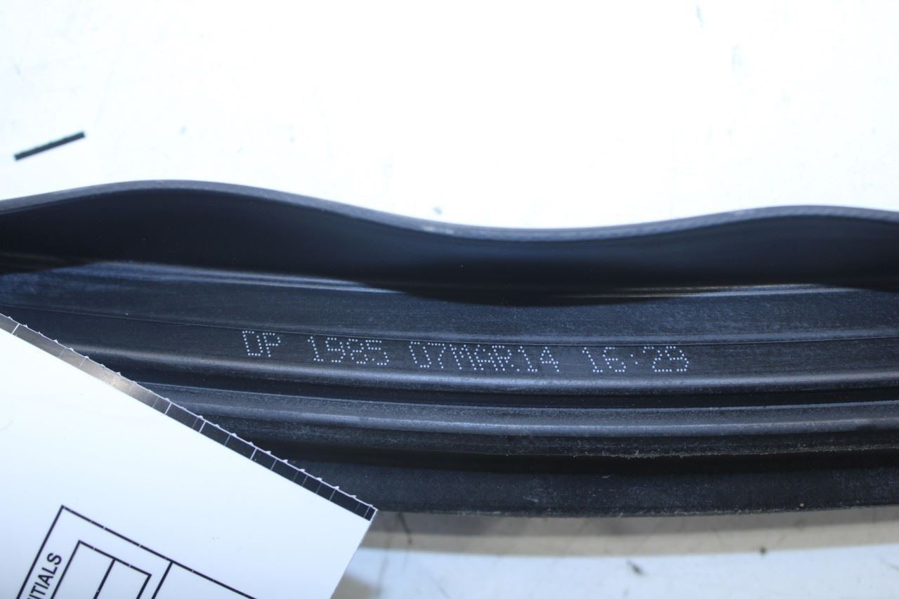 2008-2023 Dodge Challenger Front Right Door Run Channel w/ Weatherstrip On Body - Alshned Auto Parts