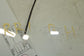 2015-2016 Volvo S60 T5 Premier Rear Right Side Door Window Glass 31385419 OEM - Alshned Auto Parts