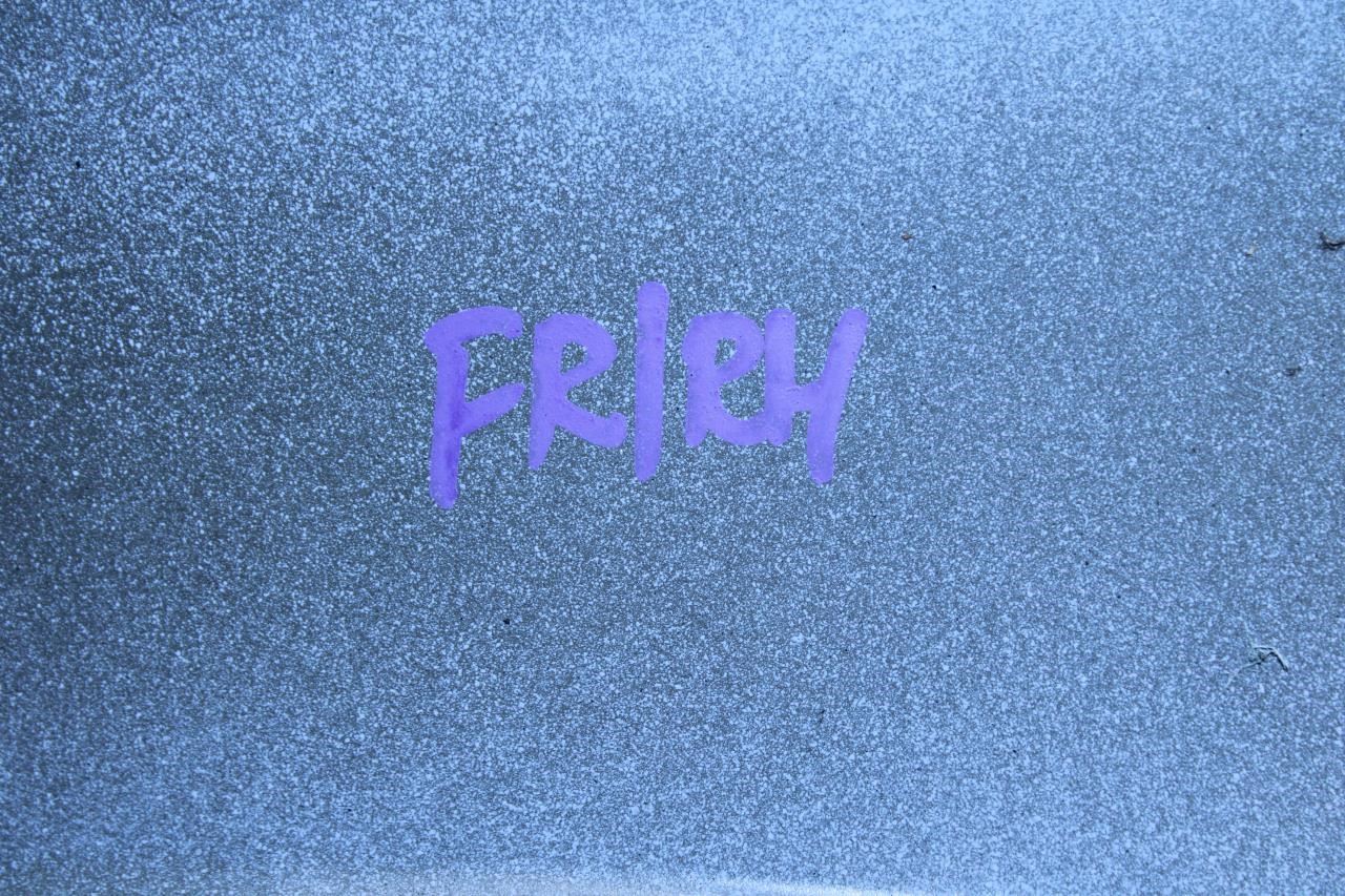 2015-20 Ford F150 XL Front Right Passenger Fender Panel VL3Z-16005-B OEM *ReaD* - Alshned Auto Parts