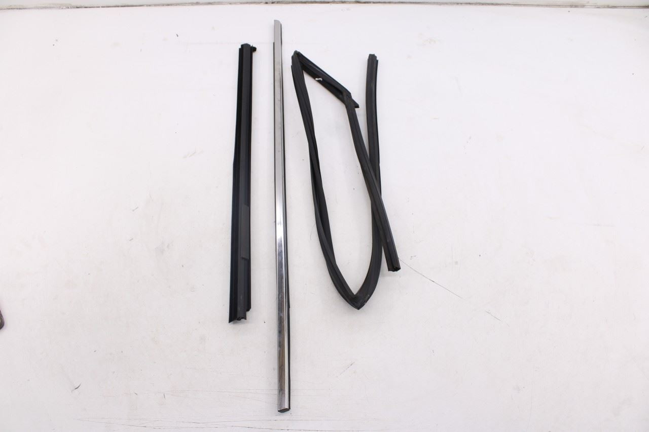 2014-2020 Infiniti QX60 Rear Left Door Run Channel w/ Belt Molding Weatherstrip0