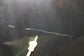 2011-2018 Volvo S60 T5 Premier Rear Right Passenger Door Shell Panel 32291069 - Alshned Auto Parts
