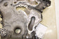 2014-2021 Maserati Ghibli S Q4 3.0L V6 Engine Front Timing Cover 910507 OEM - Alshned Auto Parts