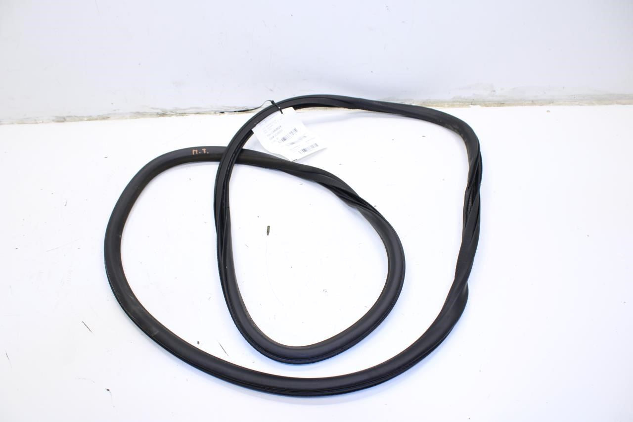 2019-2025 Cadillac XT4 Premium Rear Right Door Weatherstrip On Body 84234127 OEM - Alshned Auto Parts