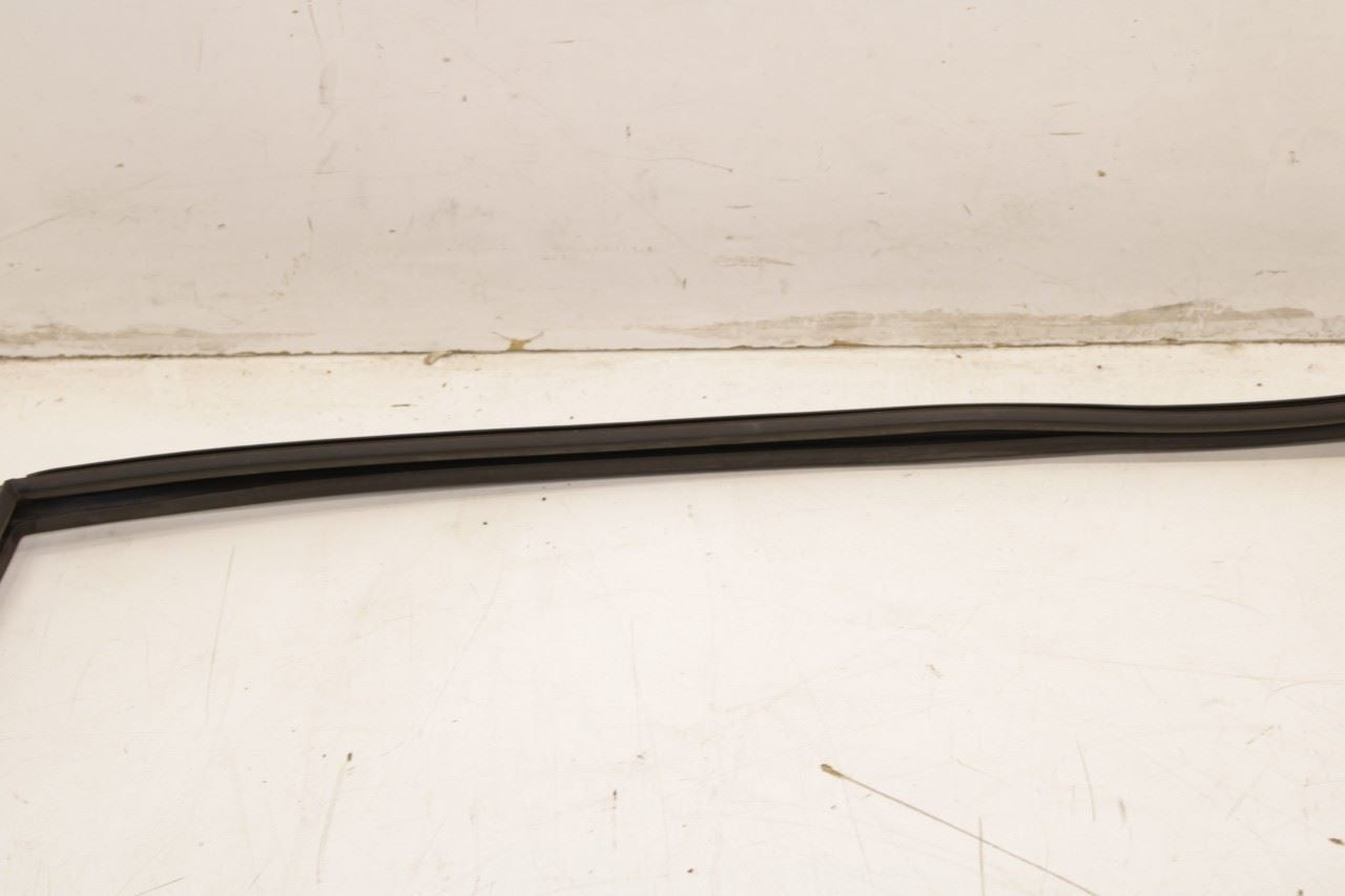 2015-2017 Infiniti QX50 Rear Left Door Run Channel w/ Belt Molding Weatherstrip - Alshned Auto Parts