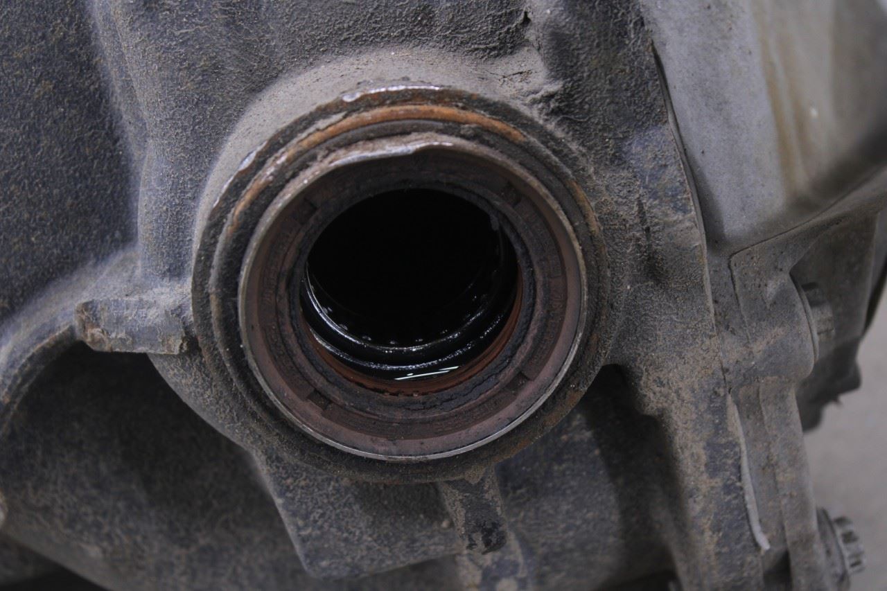 2018-2026 Ford Expedition 3.5L 4WD Rear Differential 9.75 ring 3.31 ratio *ReaD* - Alshned Auto Parts