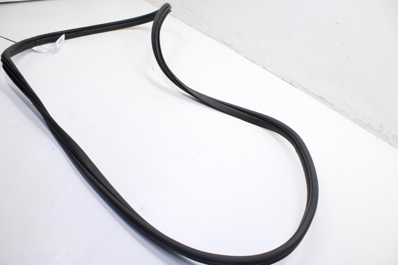 2020-2022 Hyundai Sonata SE Front Left Door Weatherstrip On Body 82110-L0000 OEM - Alshned Auto Parts
