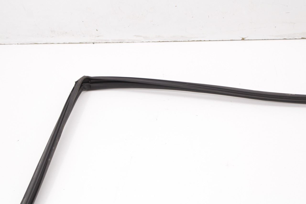 2016-2019 Nissan Sentra SL Front Left Door Run Channel with Belt Outer Molding - Alshned Auto Parts