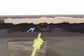 2011-2022 RAM 2500 Tradesman Rear Back Window Glass Fixed 55277408AA OEM *ReaD* - Alshned Auto Parts