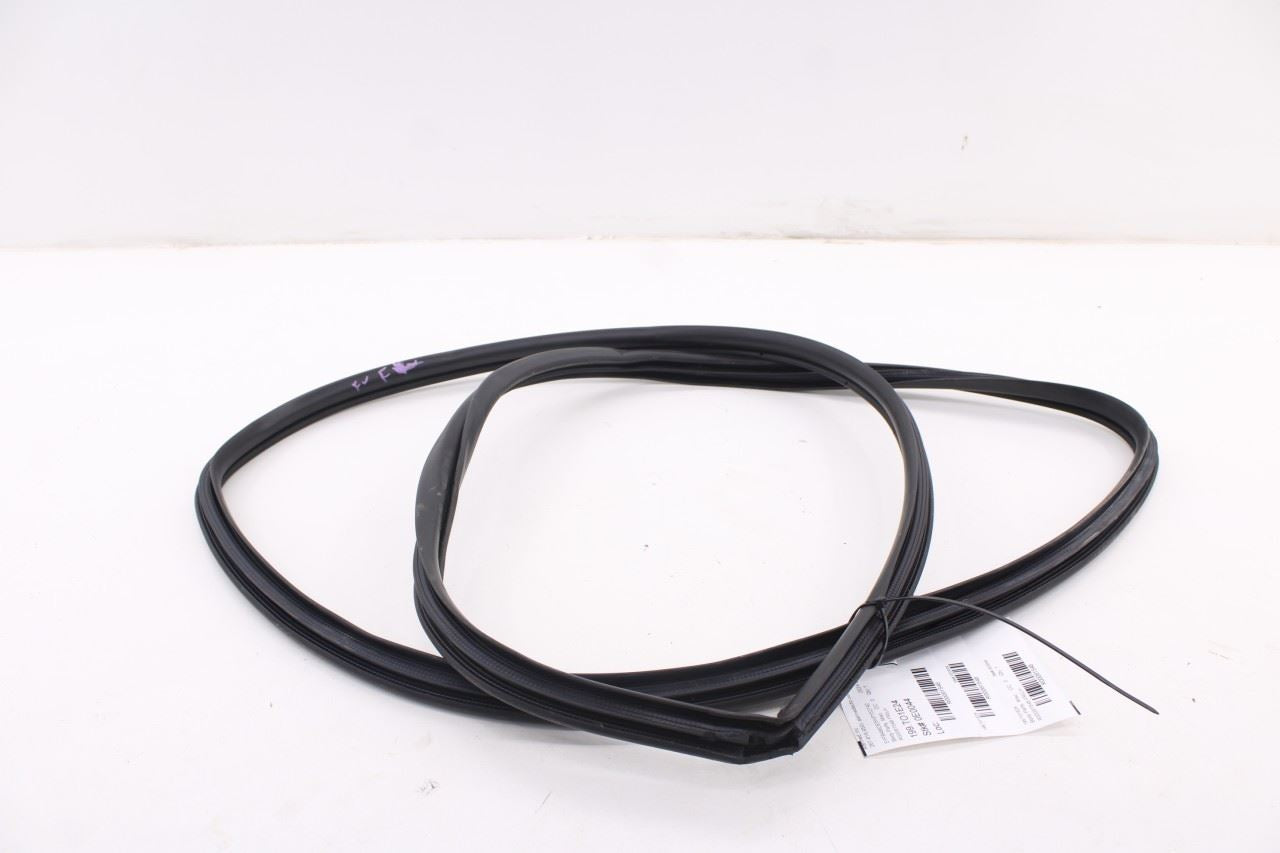 2019-25 Toyota Corolla LE Front Left Side Door Weatherstrip On Body 62312-023312