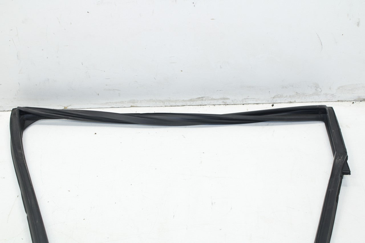 2015-2019 Nissan Murano Rear Left Door Window Run Channel w/ Belt Seal Molding - Alshned Auto Parts