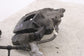 2021-2026 Ford F150 XLT Supercrew Front Right Passenger Side Disc Brake Caliper4