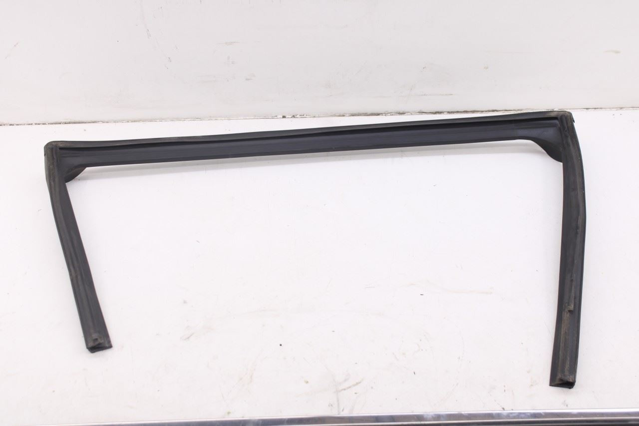 2010-20 Dodge Grand Caravan SXT Rear Right Door Window Run Channel Trim Belt Set2