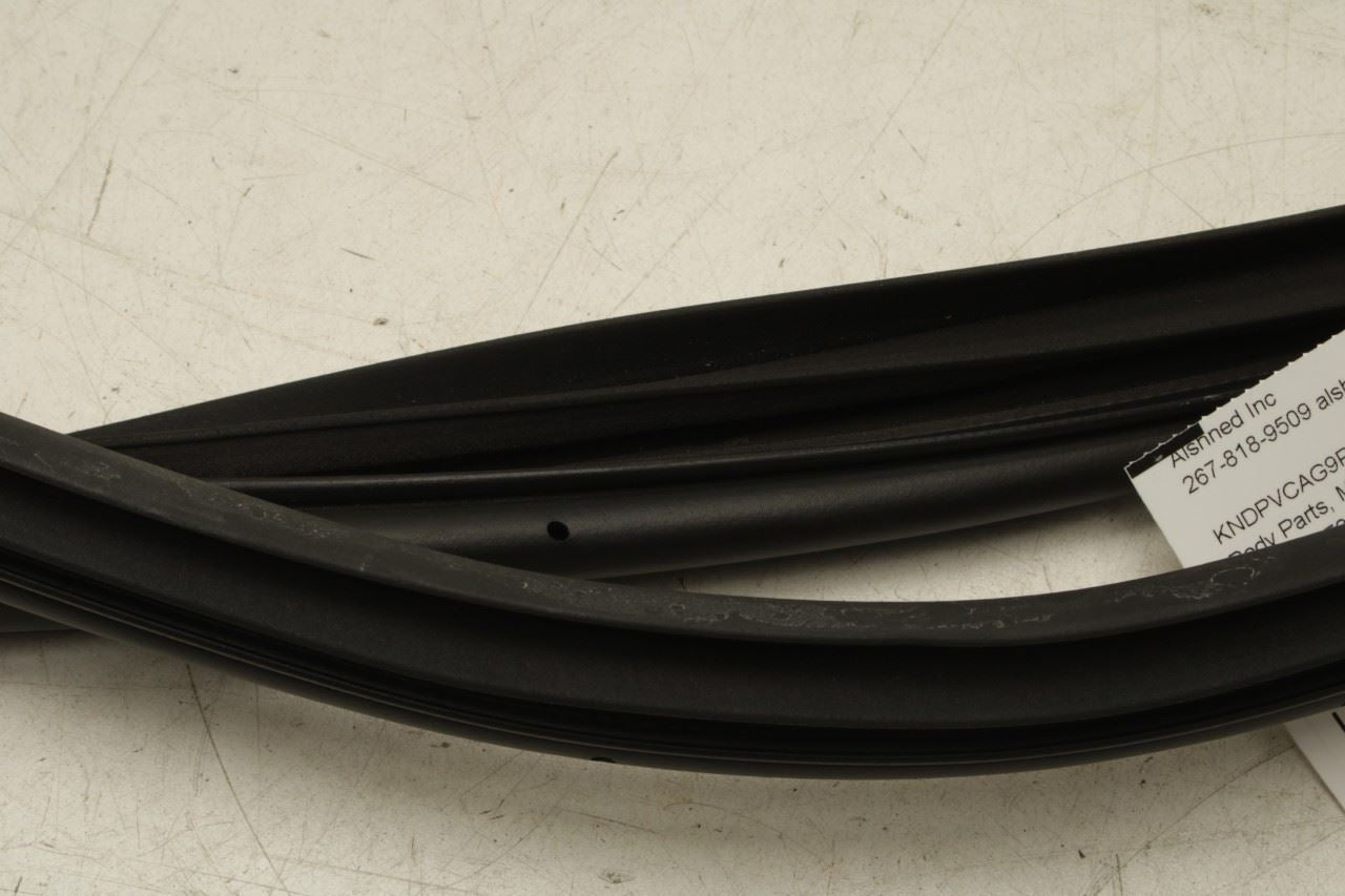 2023-25 Kia Sportage Hybrid EX Front Left Door Weatherstrip On Body 82110-P1000 - Alshned Auto Parts