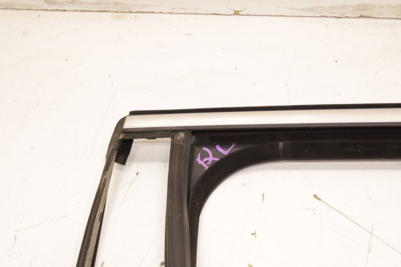11-18 Porsche Cayenne Platinum RR LH Door Run Channel w Molding and Weatherstips - Alshned Auto Parts