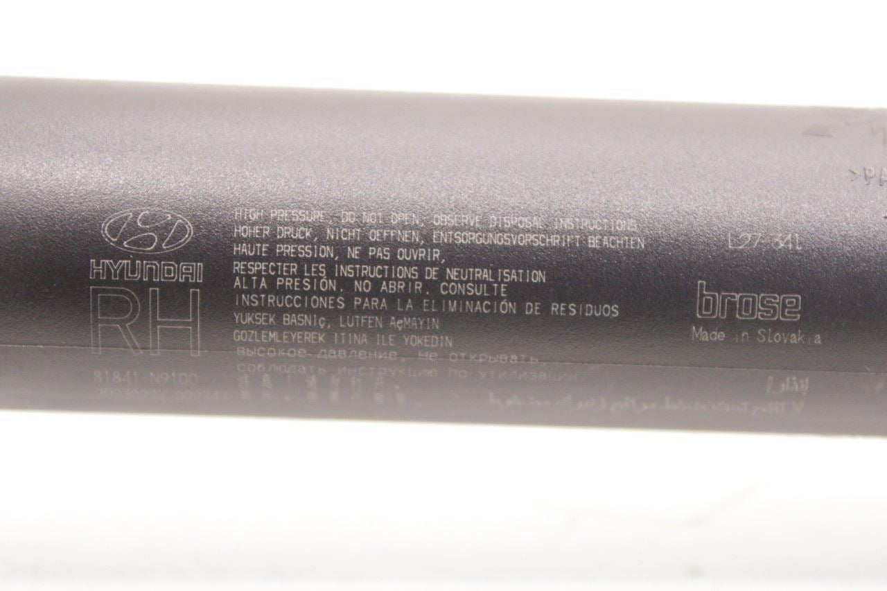 22-25 Hyundai Tucson SEL RR LH and RH Side Liftgate Power Lift Strut 81831-N9100 - Alshned Auto Parts