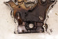 2012-17 Jeep Wrangler Unlimited 3.6L Engine Front Timing Chain Cover 68079232AB - Alshned Auto Parts