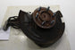 2015-20 Ford F150 SuperCab Lariat FR LH Spindle Knuckle Hub GL3Z-3K186-A *ReaD* - Alshned Auto Parts