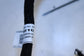 2019-2020 Hyundai Elantra SEL Rear Right Side Door Wire Harness 91665-F3010 OEM - Alshned Auto Parts