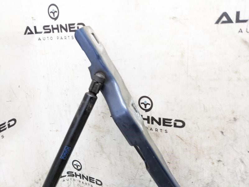 18-23 Ford Expedition Hood Hinges w Lift Cylinder Shocks JL1Z-16796-A OEM *ReaD* - Alshned Auto Parts
