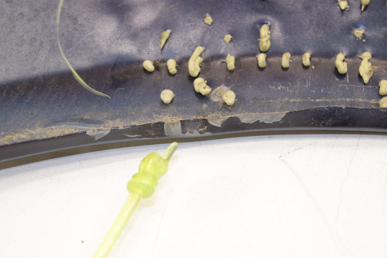 2014-21 Maserati Ghibli S Q4 Front Right Side Fender Panel 673002042 OEM *ReaD* - Alshned Auto Parts