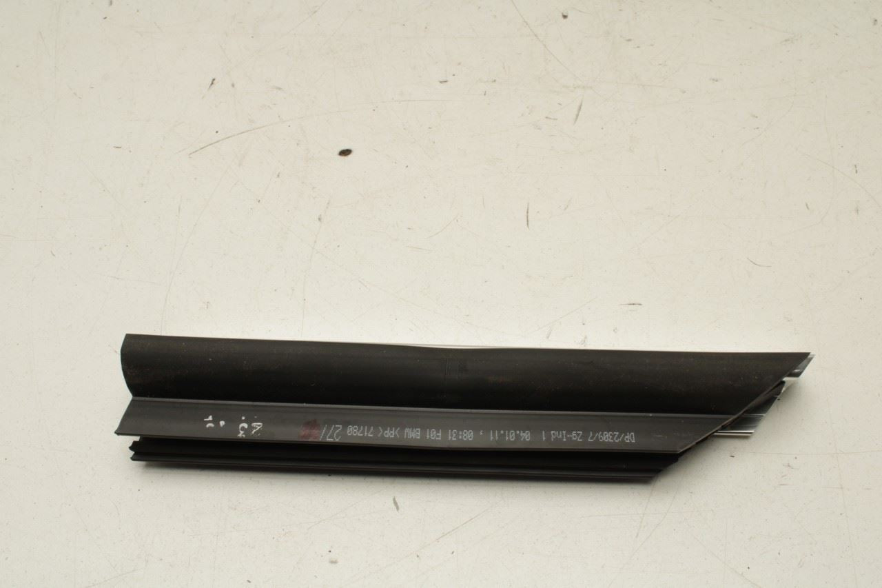 2010-2015 BMW 750Li xDrive Rear Left Door Run Channel w/ Molding Set 51357179129 - Alshned Auto Parts