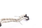 18-23 Kia Stinger GT2 AWD 3.3L Automatic Transmission Oil Cooler Line Hose Tube - Alshned Auto Parts