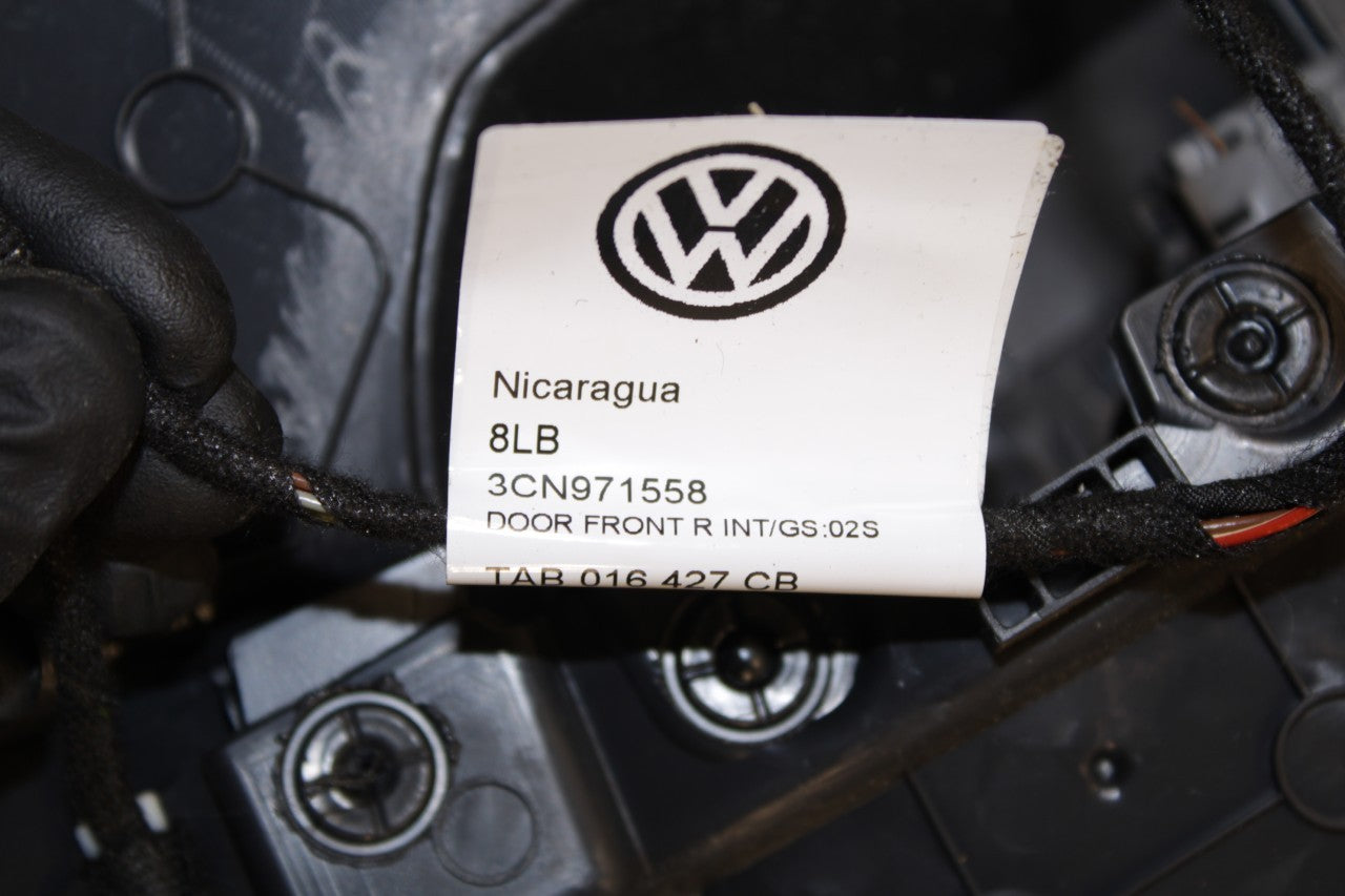 2018-19 Volkswagen Atlas S Front Right Door Trim Panel 3CN867012EHSG OEM *ReaD* - Alshned Auto Parts