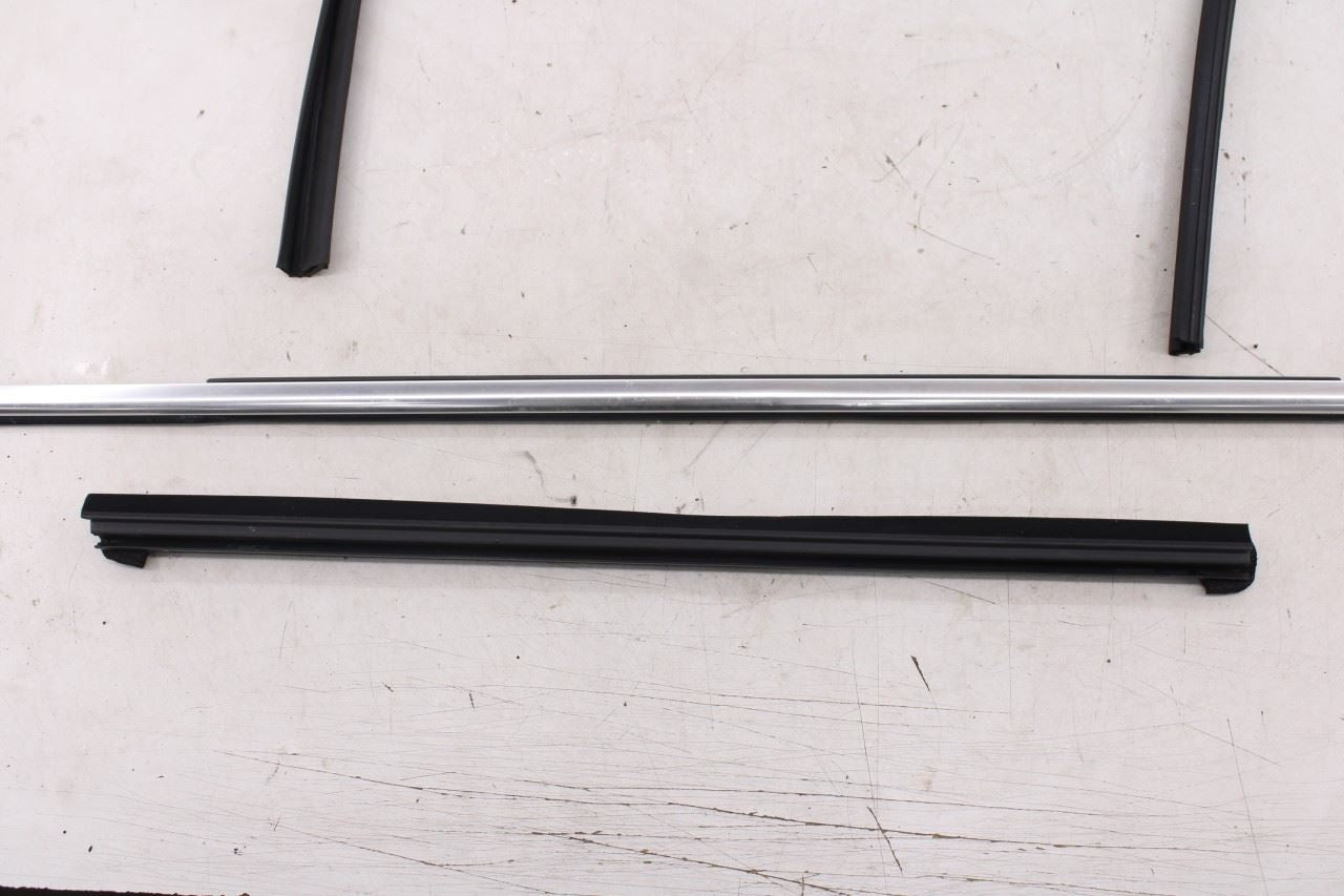 2019-2025 Infiniti QX50 Essential Rear Left Door Glass Run Channel Trim Belt Set - Alshned Auto Parts