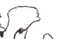 2022-2024 Chevrolet Silverado LT-L Front Right Side Door Wire Harness 86789941 - Alshned Auto Parts
