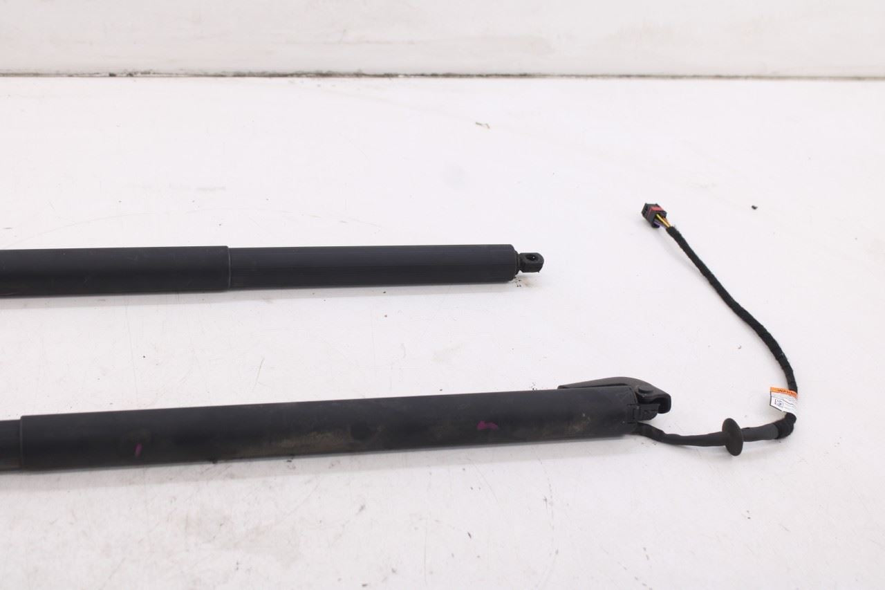 2019-25 Infiniti QX50 ESSENTIAL Rear Right and Left Liftgate Lift Cylinder Strut - Alshned Auto Parts