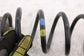 2015-2018 Volkswagen Jetta Sport Rear Right and Left Driver Side Coil Spring Set - Alshned Auto Parts