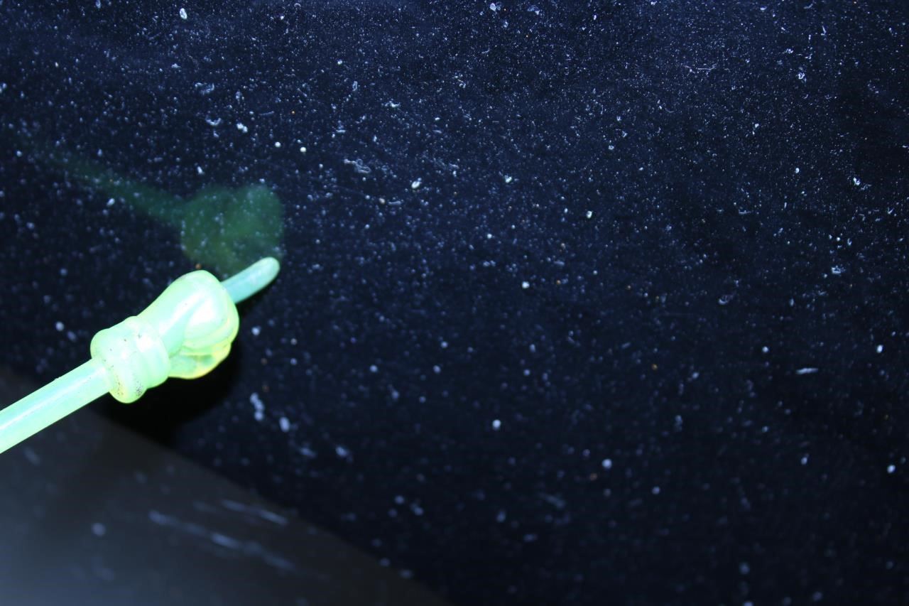 2016-2019 Nissan Sentra SV Front Bumper Cover 62022-3YU0H OEM *ReaD* - Alshned Auto Parts