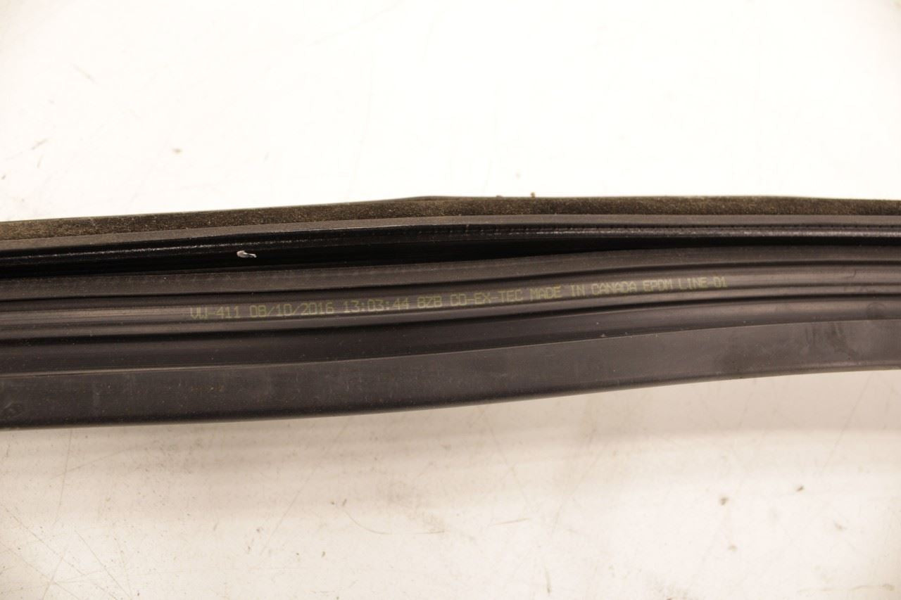 2012-22 Volkswagen Passat SE Front Right Door Run Channel w/ Belt Weatherstrips - Alshned Auto Parts