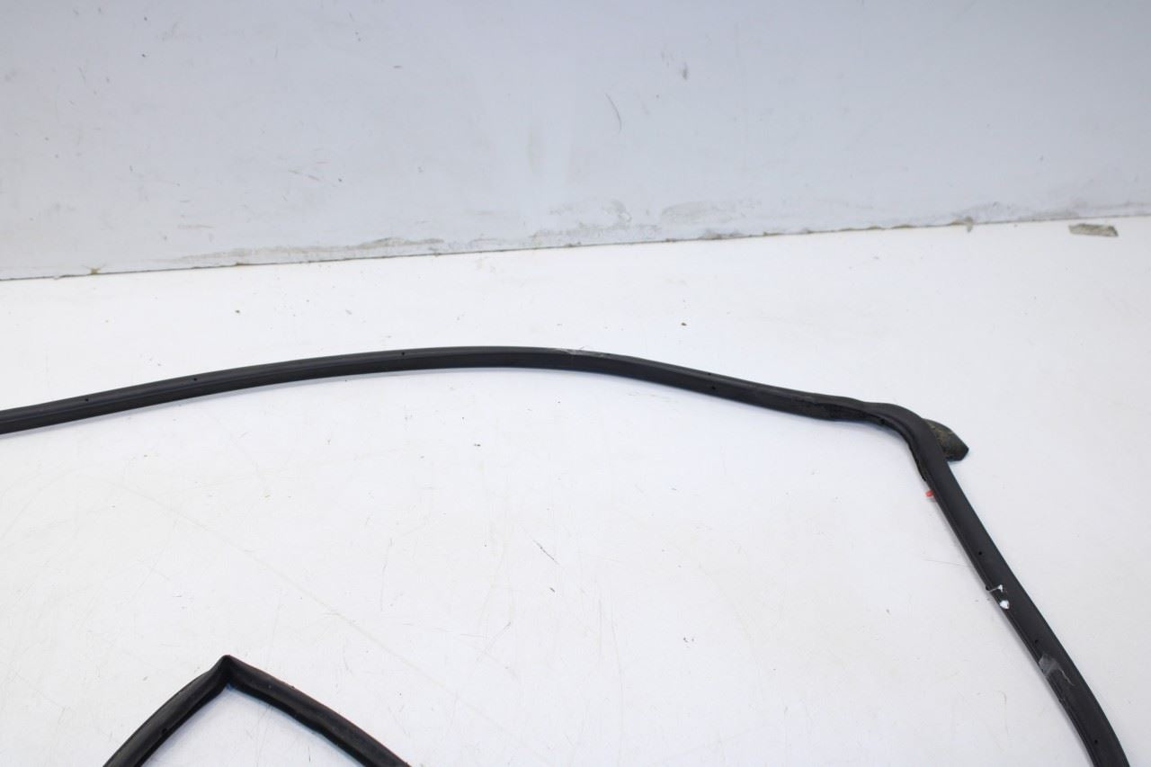 2016-20 Hyundai Elantra Rear Right Door Run Channel w/ Belt Molding Weatherstrip - Alshned Auto Parts