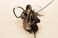 2015-2017 Jeep Wrangler Sport 2dr Front Left Driver Door Wire Harness 68244617AA - Alshned Auto Parts
