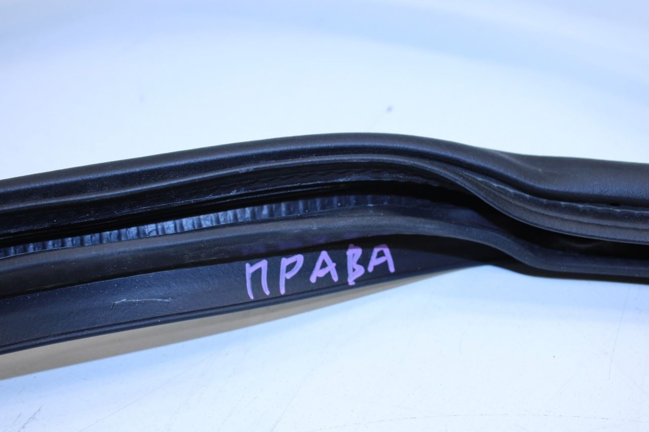 2015-25 Ford F150 Super Cab Front Right Door Weatherstrip On Body FL3Z-1820708-A - Alshned Auto Parts