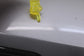 2018-23 Volkswagen Atlas SE 3.6L Right Side Rear View Mirror 3CN-857-502-BH-9B9 - Alshned Auto Parts