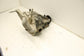 18-24 Ford Expedition 3.5L 4x2 Rear Axle Differential 9.75 ring 3.31 ratio 110K - Alshned Auto Parts