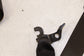 2011-17 BMW X3 xDrive28i 2.0L AWD Front Passenger Right Side Seat Belt Retractor - Alshned Auto Parts